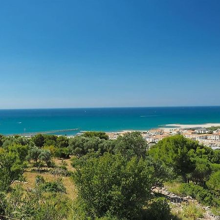 Grand T2 Esprit Loft Coeur De Ville Sète Dış mekan fotoğraf